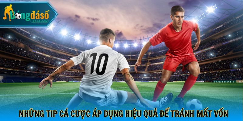 Những tip cá cược áp dụng hiệu quả để tránh mất vốn