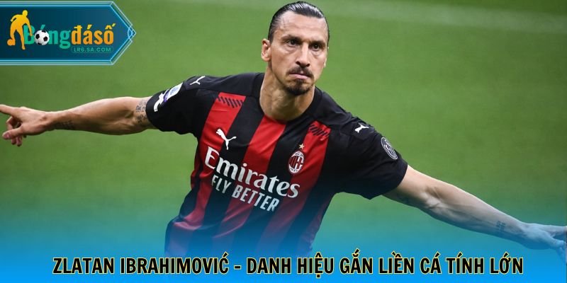 Zlatan Ibrahimović - Danh hiệu gắn liền cá tính lớn