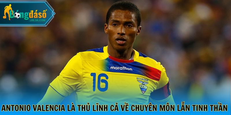 Antonio Valencia là thủ lĩnh cả về chuyên môn lẫn tinh thần của đội