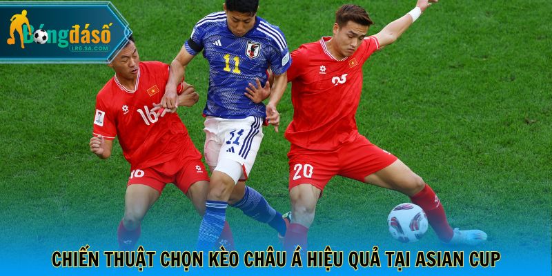 Chiến thuật chọn kèo châu Á hiệu quả tại Asian Cup