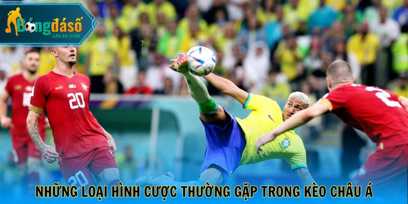 Những loại hình cược thường gặp trong kèo Châu Á